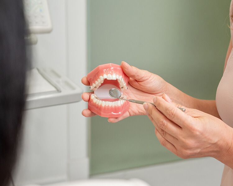 00-Gallery-5-dentist-dr-hotz